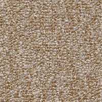 Radici Trotter Faggio 9474 фото 1 | FLOORDEALER